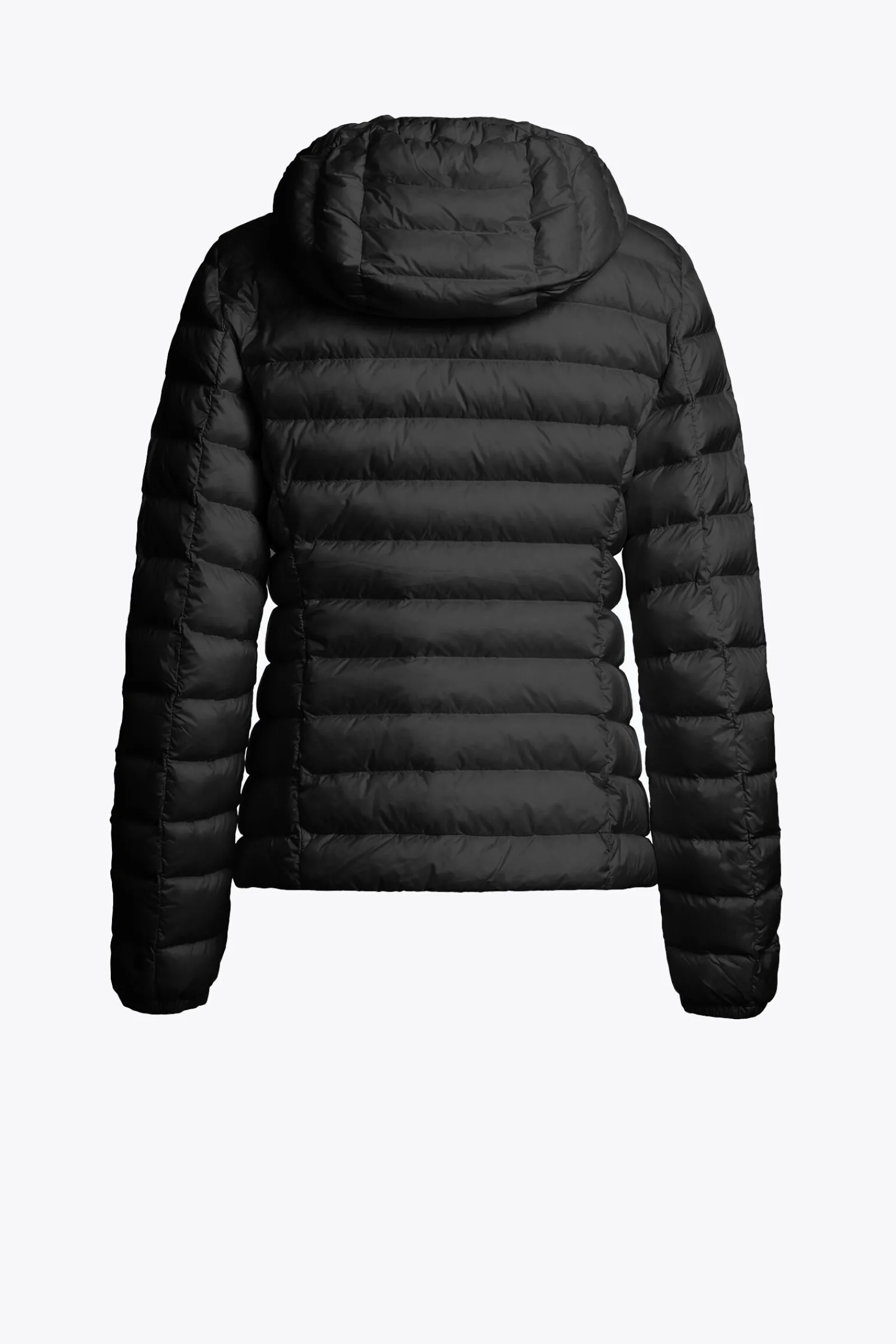 GENIE - DAUNENJACKE MIT KAPUZE-Parajumpers Outlet