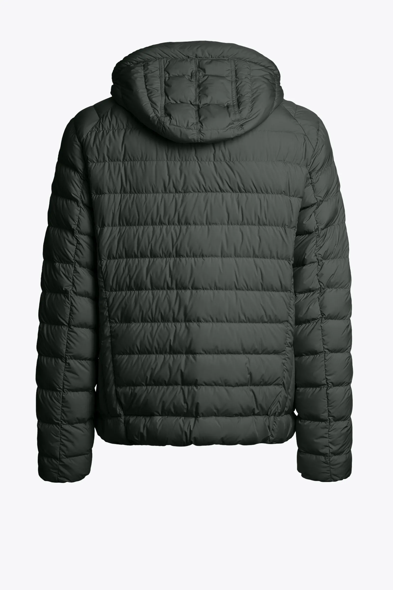LAST MINUTE - DAUNENJACKE MIT KAPUZE-Parajumpers Discount